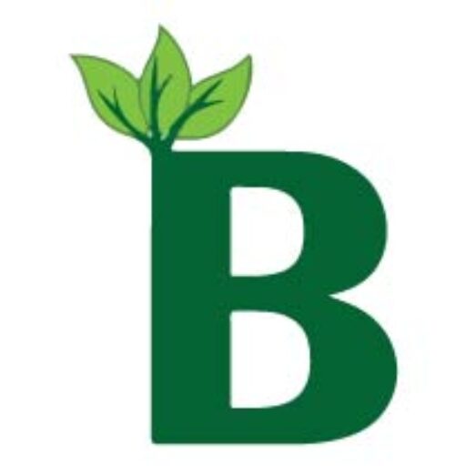 cropped favicon bahlol herbs.jpg